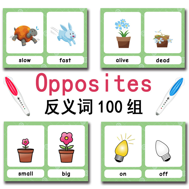 The 100 Groups Opposites Flash - огляд і ціна Kids Education Card