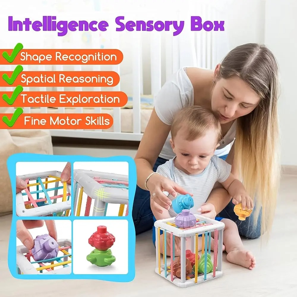 Rainbow Colorful Montessori Sh - огляд і ціна Kids Education Toys