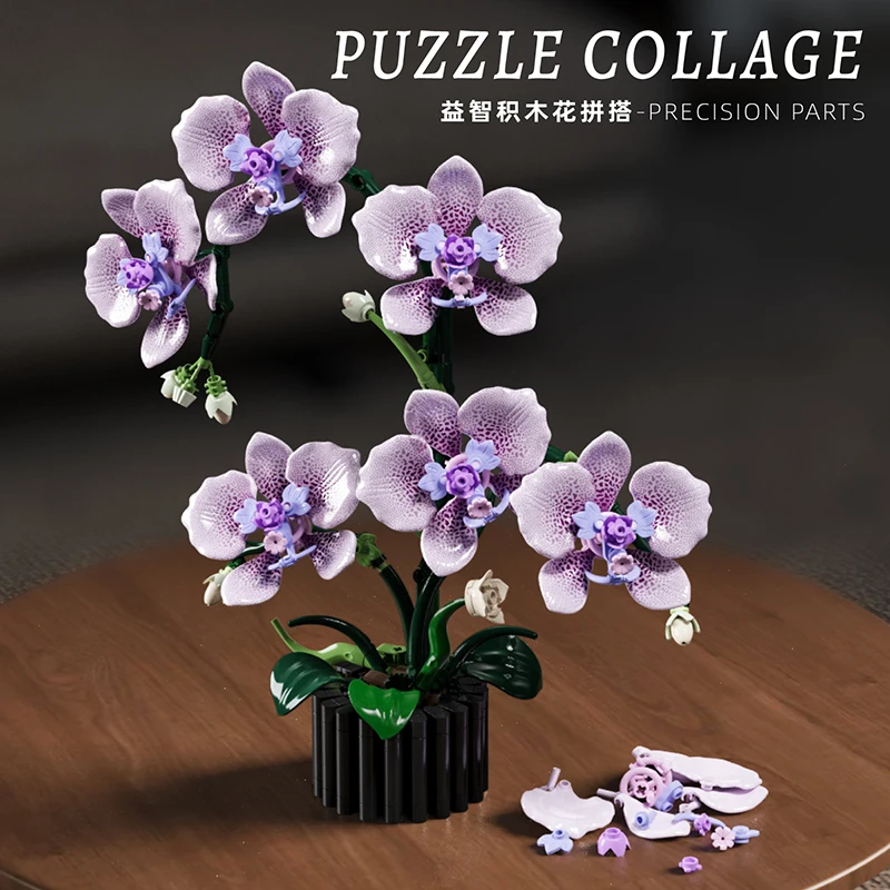Orchid Potted Plants Simulatio - огляд і ціна Orchid Kids Education