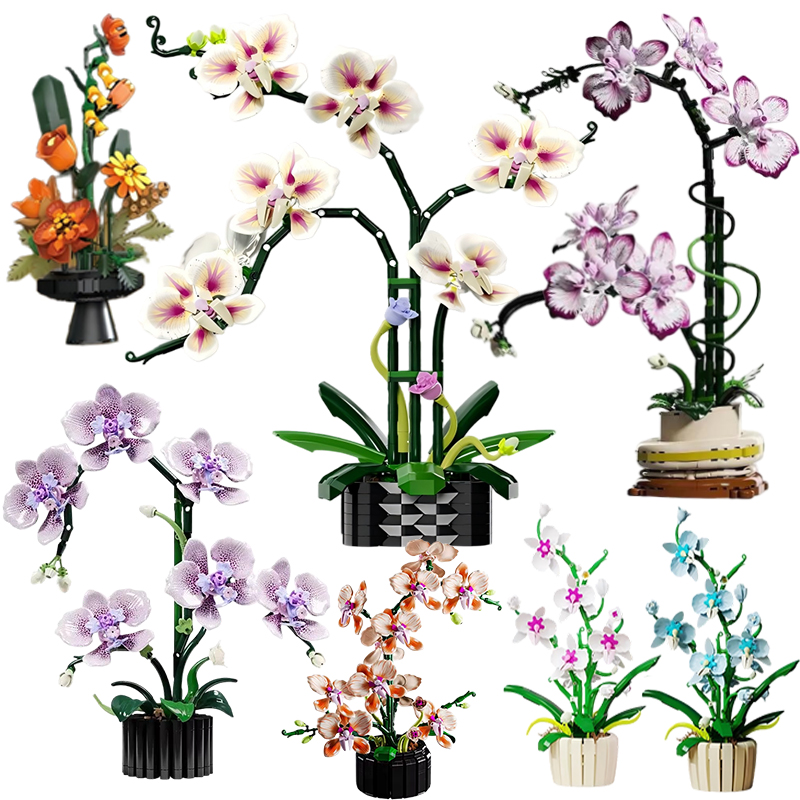 Orchid Potted Plants Simulatio - огляд і ціна Orchid Kids Education
