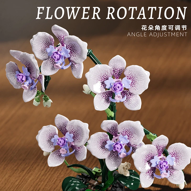 Orchid Potted Plants Simulatio - огляд і ціна Orchid Kids Education