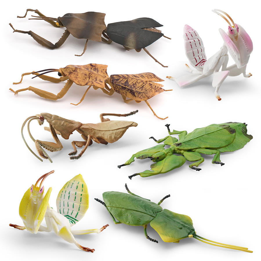 Realistic Orchid Mantis Dead L - огляд і ціна Orchid Kids Education